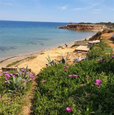 فيلا Elegant Beach House أرتيميدا المظهر الخارجي الصورة